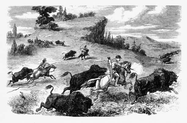 Poineers  and American Indians Hunting Bison Engraving, 1857 Beautifully Illustrated Antique Engraved Victorian Illustration of American Indians and Poineers Hunting Bison Engraving, 1857. Source: Original edition from my own archives. Copyright has expired on this artwork. Digitally restored. buffalo shooting stock illustrations