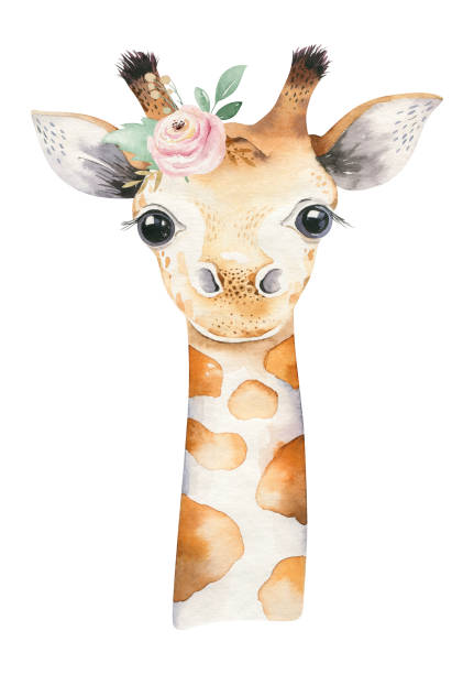 ein poster mit einer babygiraffe. aquarell cartoon giraffetropischen tier illustration. dschungel exotische sommer-druck. - großwild stock-grafiken, -clipart, -cartoons und -symbole