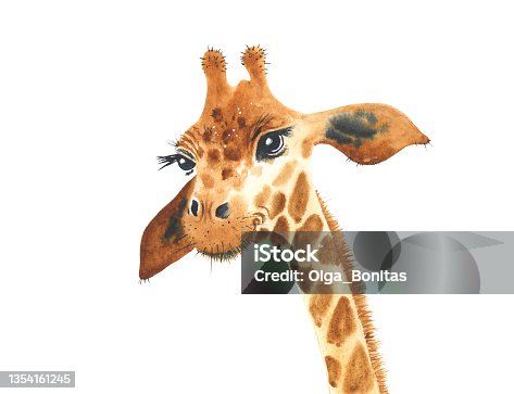 istock A poster with a baby giraffe. Watercolor giraffe animal illustration isolated in white background. 1354161245