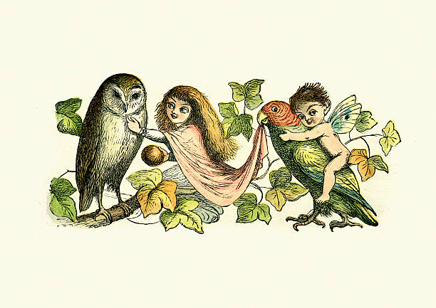 Best Elf Owl Illustrations, Royalty-Free Vector Graphics ...