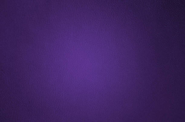 Purple background Purple leather background purple background stock illustrations