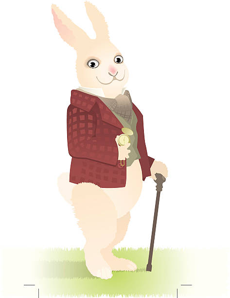 rabbit vector art illustration