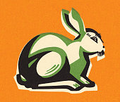 istock Rabbit on an Orange Background 179141275
