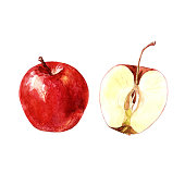 istock Red Apple and Apple cut, watercolor illustration. 1044816000