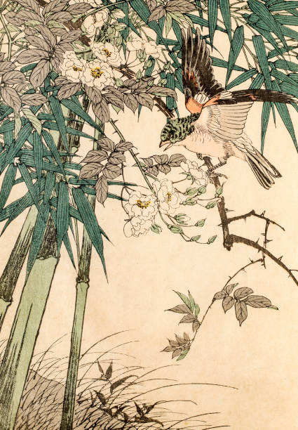 bildbanksillustrationer, clip art samt tecknat material och ikoner med red bird in bamboo, a 19th century japanese woodblock print - talgoxe