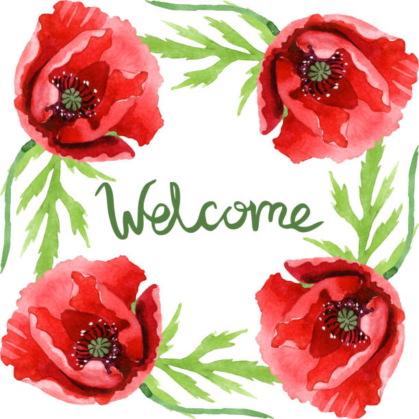 FREEBIE Watercolor wildflower floral bouquet red poppies greenery Meadow flowers clipart PNG Hand painted botanical elements  invitations