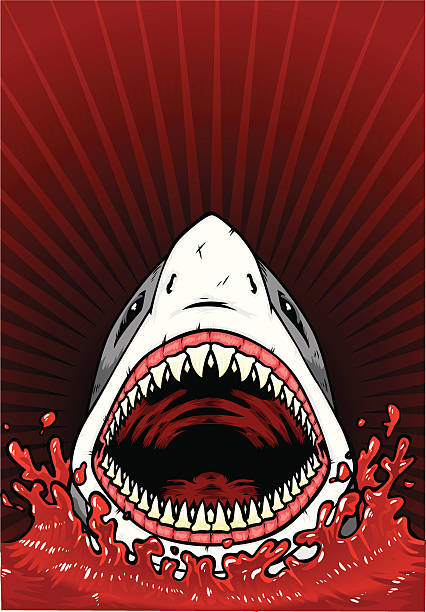Shark Mouth Open Stock Photos, Pictures & Royalty-Free Images - iStock