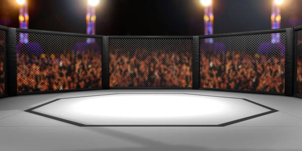 3D Rendered Illustration of an MMA, mixed martial arts, fighting cage arena. vector art illustration