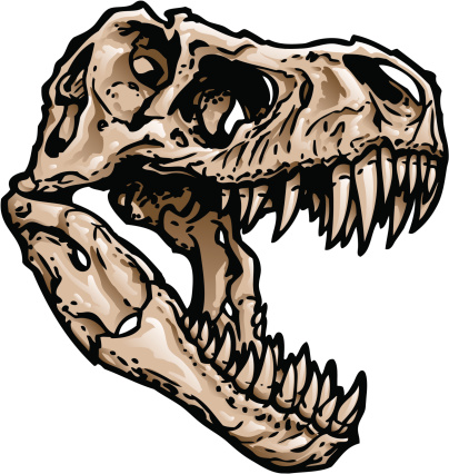 T Rex Skull