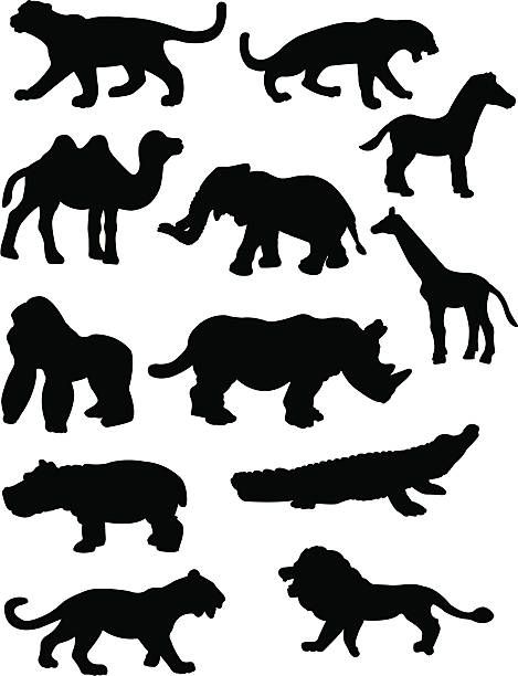 Safari Animal Silhouettes vector art illustration