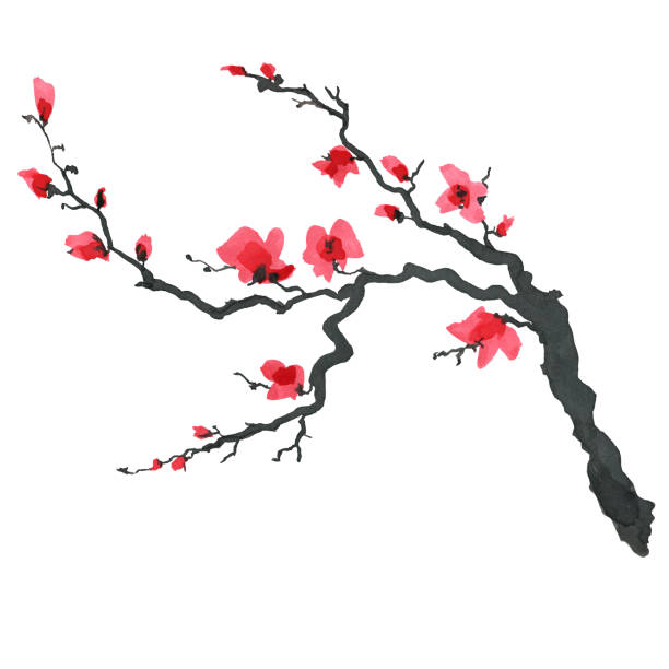 和風桜の木。水彩の手絵画イラスト - 桃の花点のイラスト素材／クリップアート素材／マンガ素材／アイコン素材