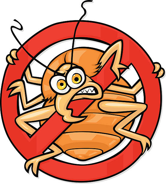 say no to bedbugs cartoon bedbug in a no symbol bed bugs stock illustrations