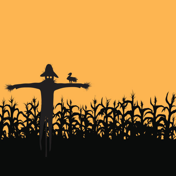 ilustraciones, imágenes clip art, dibujos animados e iconos de stock de espantapájaros - corn field