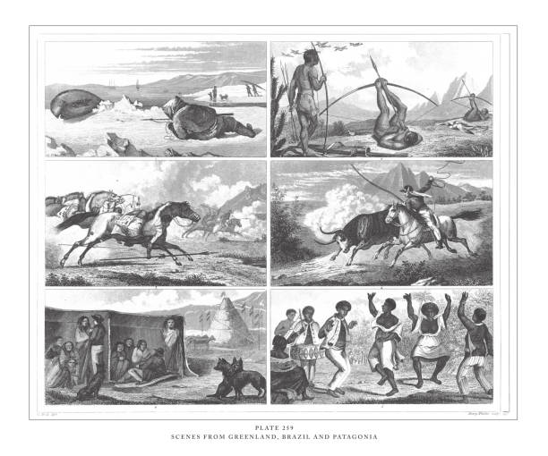 ilustrações, clipart, desenhos animados e ícones de cenas da gronelândia, brasil e patagonia gravura antiga ilustração, publicado 1851 - gado brasil