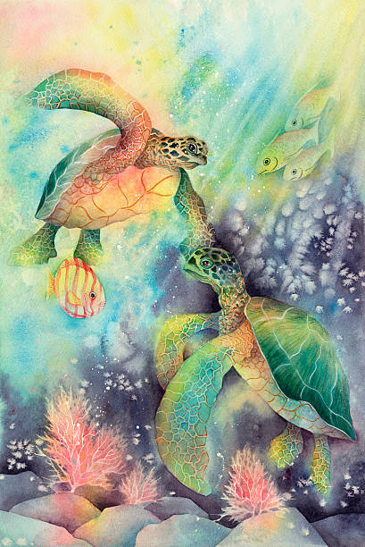 Sea Turtles  painting art product stock illustrations