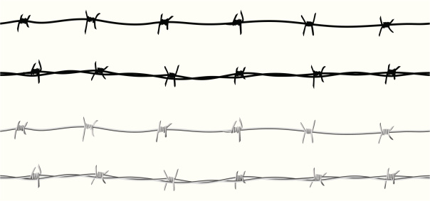 Seamless barbed wire border