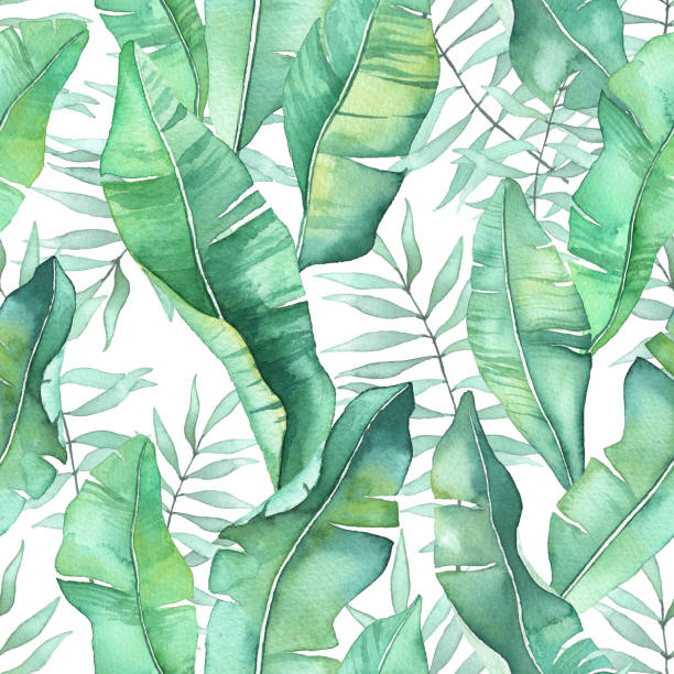 Banana Leaf Illustrations, Royalty-Free Vector Graphics & Clip Art - iStock