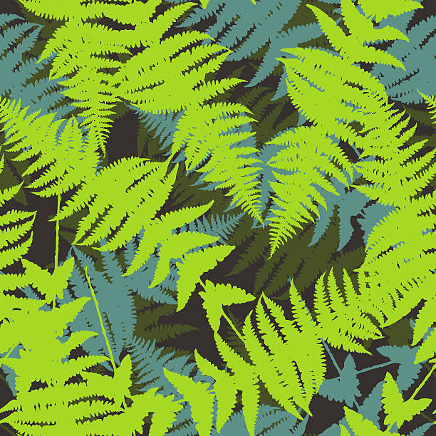 stockillustraties, clipart, cartoons en iconen met seamless pattern of fern leaves.  illustration - grass texture