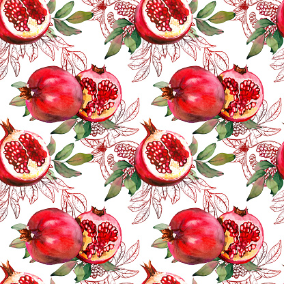 Seamless pattern with pomegranate fruits and foliage. Mix of watercolor and line art illustration.