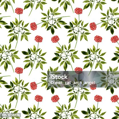 istock seamless pattern with watercolor drawing ginseng plant 1353938826