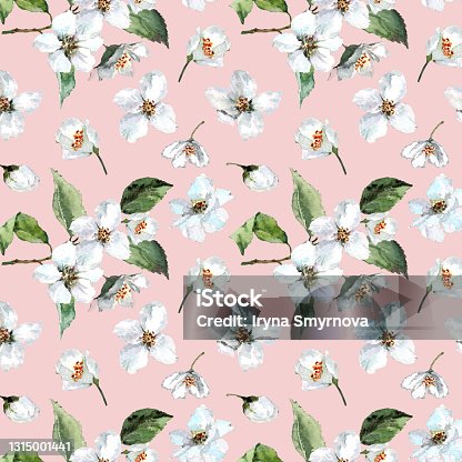istock Seamless spring pattern with blooming cherry branches, flowers, buds and green leaves on a pink background. Hand drawn watercolor. 1315001441