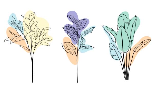 Set botanical floristic sketch contour branches with leaves. Continuous one line drawing with color spots. Line art. Tropic leaf. Set botanical floristic sketch contour branches with leaves. Continuous one line drawing with color spots. Line art. Tropic leaf. High quality illustration banana silhouettes stock illustrations