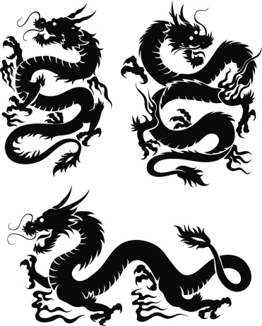 3 dragons vector illustrations vector