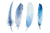 istock Set of watercolor blue feathers on white background. Bird's feather. Variegated feather. 1300456261