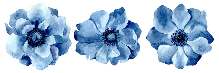 https://media.istockphoto.com/illustrations/set-of-watercolor-blue-flowers-illustration-id1225014943?k=20&amp;m=1225014943&amp;s=170667a&amp;w=0&amp;h=yrVBBMaVbyF_GBDL4NVnEtCIk2EbEj5K4WA8lDEf7Cs=