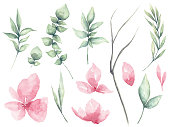 istock Set of watercolor Flower and green leaves 1272158191