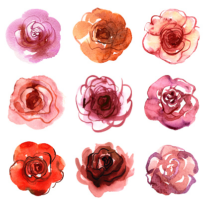 Set Of Watercolor Hand Painted Roses Isolated On A White Background ...