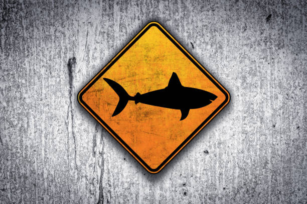 Señal De Aviso De Tiburones Vectores Libres de Derechos - iStock