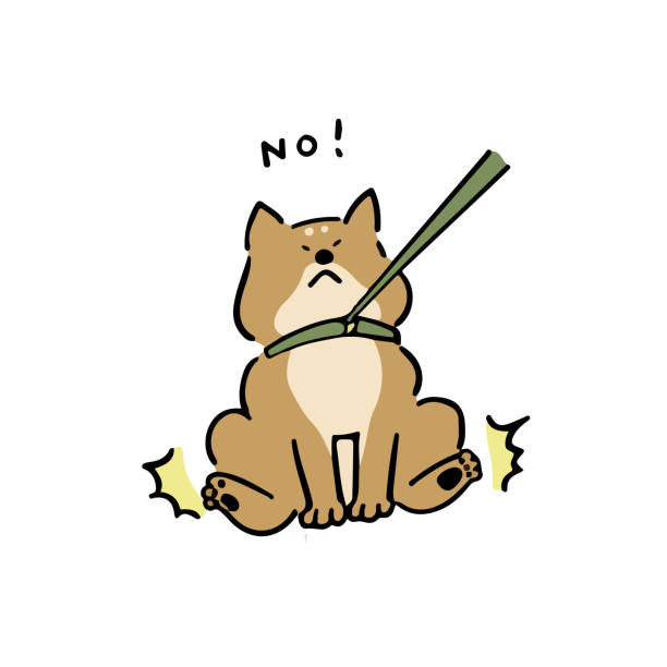 stockillustraties, clipart, cartoons en iconen met shiba inu weigert te lopen - jaar van de hond