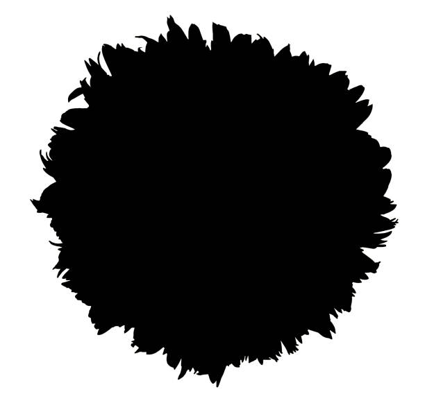Download Black White Sunflower Clip Art Illustrations, Royalty-Free ...