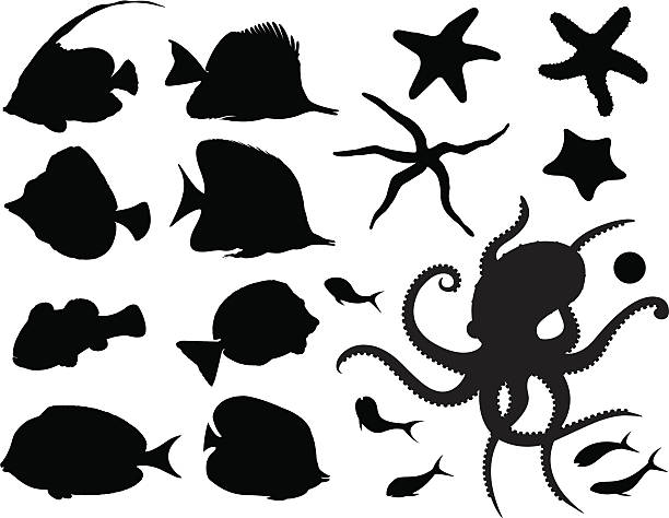 силуэты различных рыб, в океанариум sealife - sancho stock illustrations