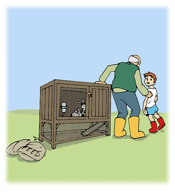 Slice of Life with Rabbit Hutch Illustration of a slice of life scene containing a young boy, older man like a father or grandfather, a rabbit hutch with white rabbits and two bags of feed. rabbit hutch stock illustrations
