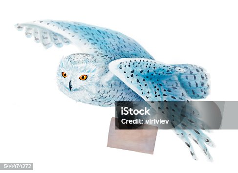 istock Snowy owl flying on white background. 544474272