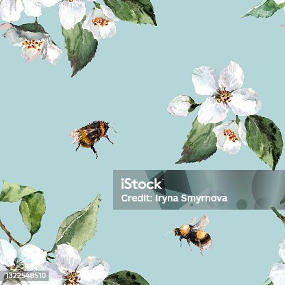 istock Spring flowering jasmine flowers, flying bee and bumblebee in a seamless pattern. Hand drawn watercolor on light blue background. 1322548510