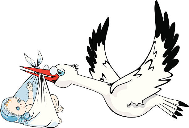 Top 60 Stork And Baby Flying Cartoon Clip Art, Vector Graphics and ...