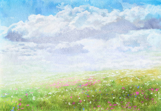 ilustraciones, imágenes clip art, dibujos animados e iconos de stock de prado de verano, acuarela pintura - landscape painting