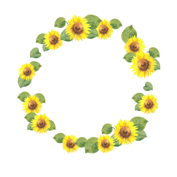 Free Sunflower Border Svg - 219+ SVG File for Silhouette