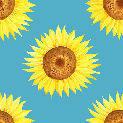 Sunflowers watercolor seamless pattern. Blooming heads of yellow flowers of agriculture endless background. Hand drawn illustration for fabric and wrapping paper.
