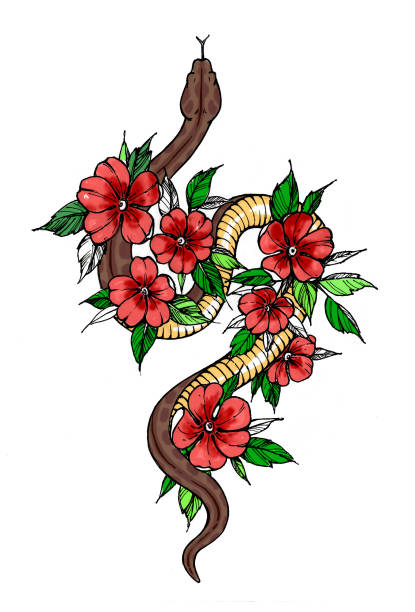 Tattoo snake decorated flowers. T-shirt design Tattoo snake decorated flowers. Snake symbol of wisdom. T-shirt design snakes tattoos stock illustrations
