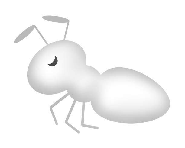 Termite This is a termite. ant clipart pictures stock illustrations