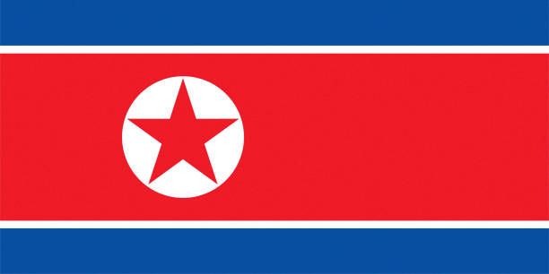 текстурированный северокорейский флаг северной кореи - north korea stock illustrations
