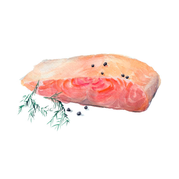illustrations, cliparts, dessins animés et icônes de la frite tranche de saumon avec une branche de fenouil isolé sur fond blanc, illustration aquarelle dans un style dessiné à la main. - filet de poisson