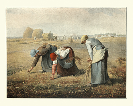 Vintage engraving of The Gleaners after an oil painting by Jean-François Millet. Three peasant women gleaning (collecting leftover crops from farmers' fields) a field of stray stalks of wheat after the harvest.