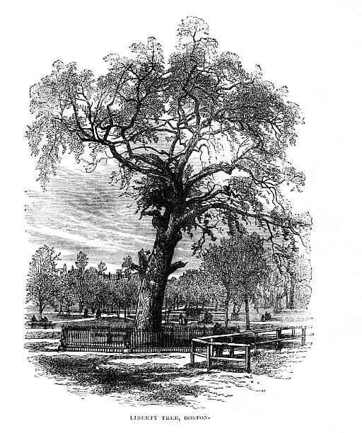 The Liberty Tree Boston USA from 1880 journal vector art illustration