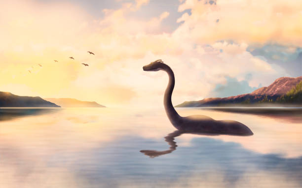 The Loch ness monster looks at the birds at sunset. The Loch ness monster in the water looks at the beautiful birds flying against the sunset. loch ness monster stock illustrations