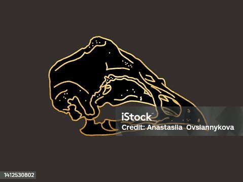 istock the skull of a bird. graphic illustration with golden lines on a dark background 1412530802